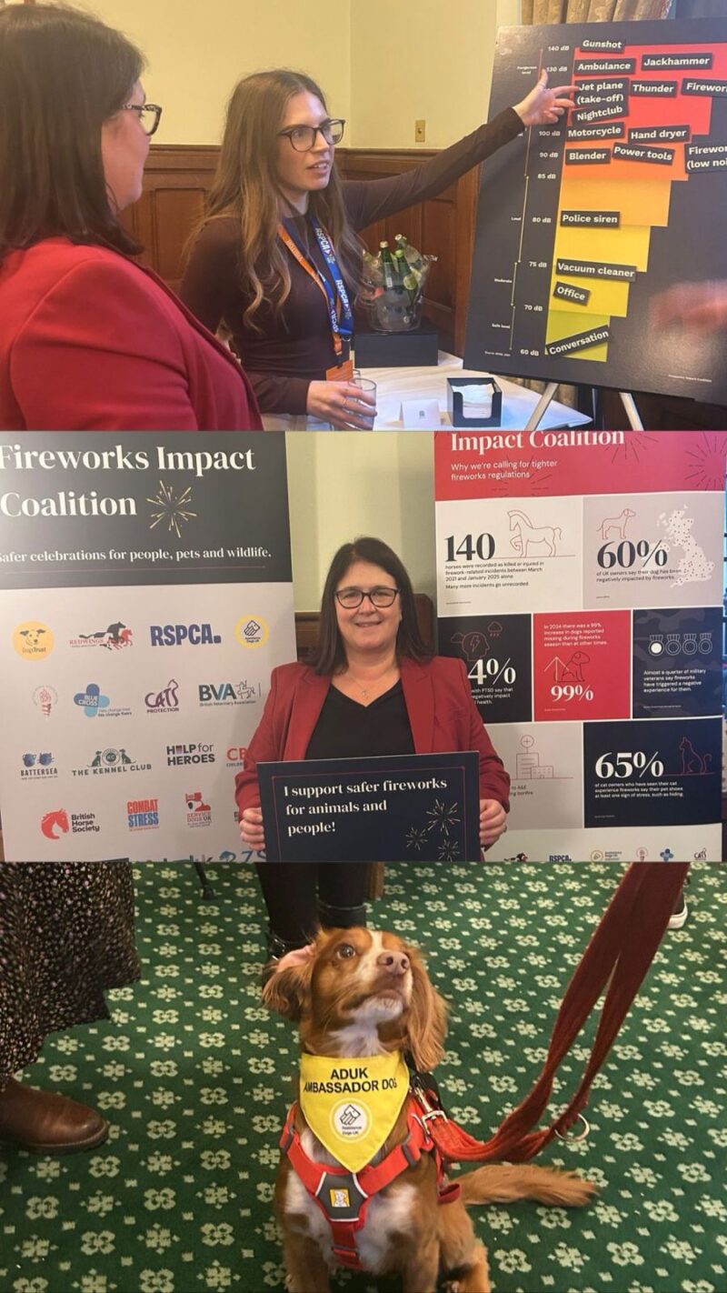 Rachel Hopkins MP meeting with the Fireworks Impact Coalition