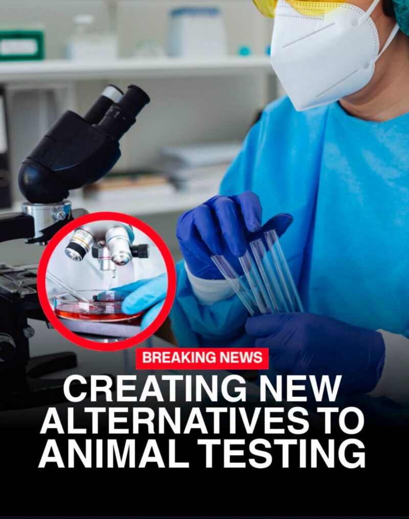 Creating new alternatives to animal testing graphic